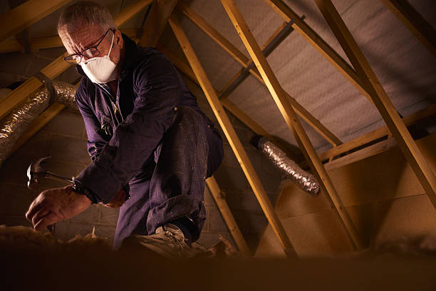 Best Insulation Installation Services in Crofton, MD